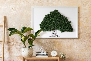 Moos bild Ein Baum mit Wurzeln auf einem weißen Hintergrund