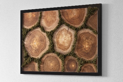 Moosbild Kofferraumkreuz -Abschnitt