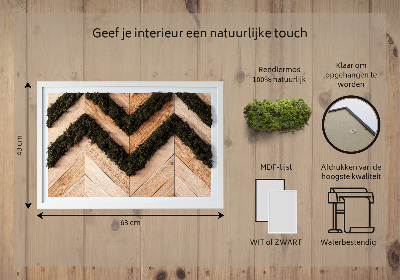 Moosbild Jodel Boards