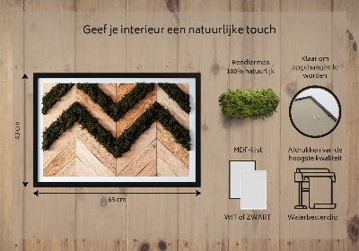 Moosbild Jodel Boards
