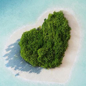 Moosbild lebend Herz -verdrehte Insel
