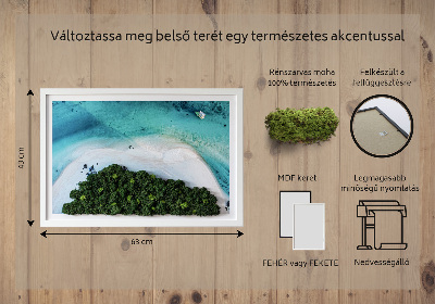 Moos bild Azure Beach