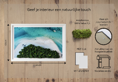 Moos bild Azure Beach