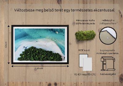 Moos bild Azure Beach