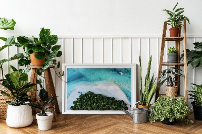 Moos bild Azure Beach