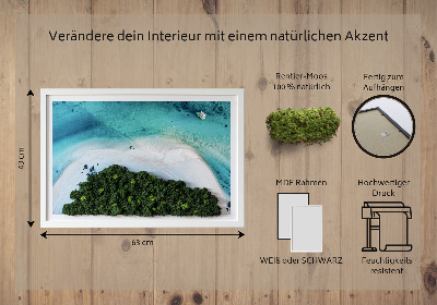 Moos bild Azure Beach
