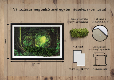 Moos bild Tropendschungel