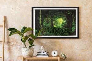 Moos bild Tropendschungel