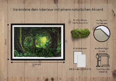 Moos bild Tropendschungel