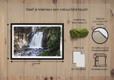 Moosbild lebend Wasserfall von Bäumen umgeben