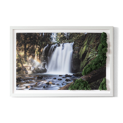 Moosbild lebend Wasserfall von Bäumen umgeben