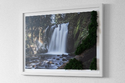 Moosbild lebend Wasserfall von Bäumen umgeben