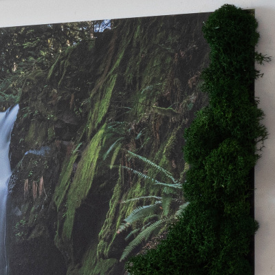 Moosbild lebend Wasserfall von Bäumen umgeben