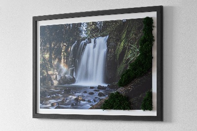Moosbild lebend Wasserfall von Bäumen umgeben