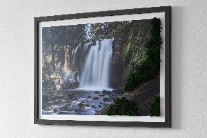 Moosbild lebend Wasserfall von Bäumen umgeben