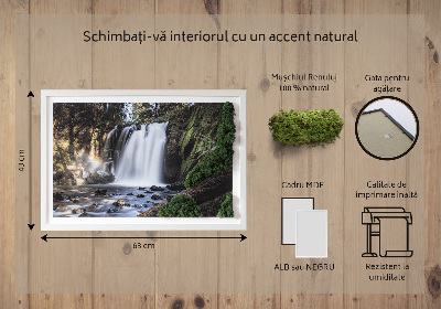 Moosbild lebend Wasserfall von Bäumen umgeben