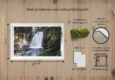 Moosbild lebend Wasserfall von Bäumen umgeben