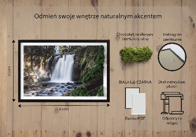 Moosbild lebend Wasserfall von Bäumen umgeben