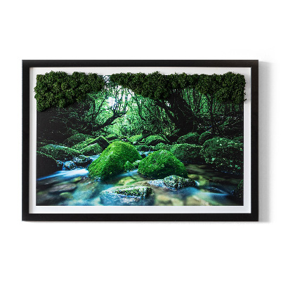 Moos bild Fluss in der Mitte des Waldes