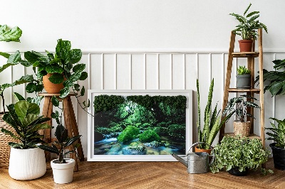 Moos bild Fluss in der Mitte des Waldes