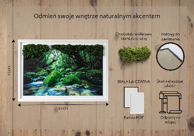 Moos bild Fluss in der Mitte des Waldes