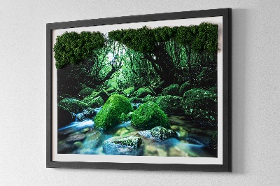 Moos bild Fluss in der Mitte des Waldes