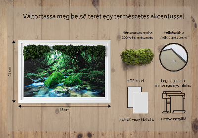 Moos bild Fluss in der Mitte des Waldes
