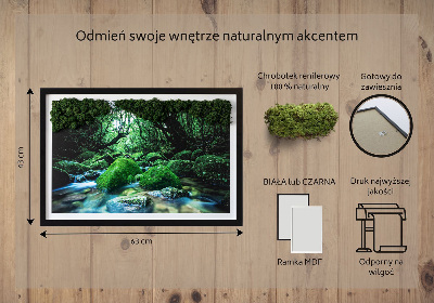Moos bild Fluss in der Mitte des Waldes