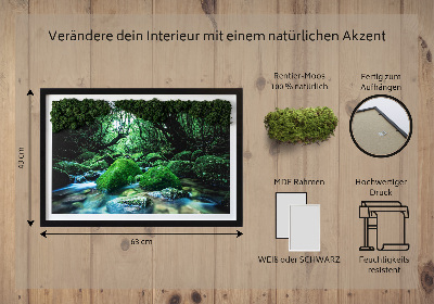 Moos bild Fluss in der Mitte des Waldes