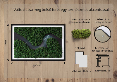 Moosbild Fluss im Wald