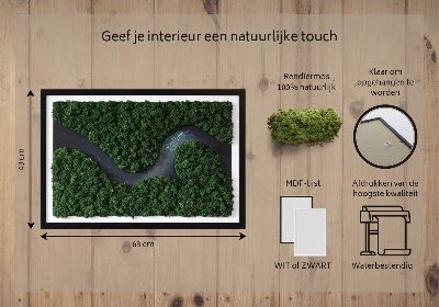 Moosbild Fluss im Wald