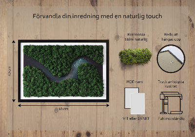 Moosbild Fluss im Wald