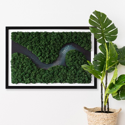 Moosbild Fluss im Wald