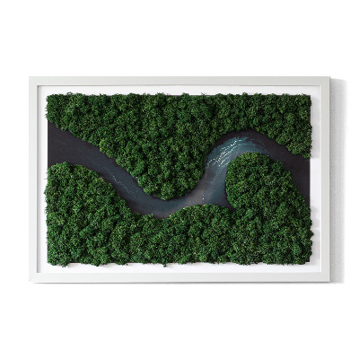 Moosbild Fluss im Wald
