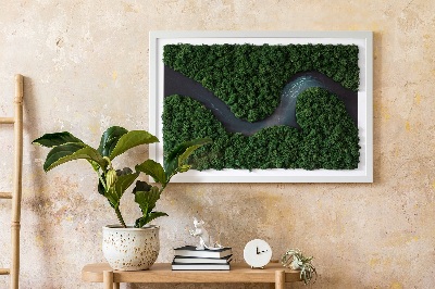 Moosbild Fluss im Wald