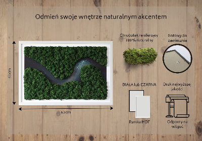 Moosbild Fluss im Wald