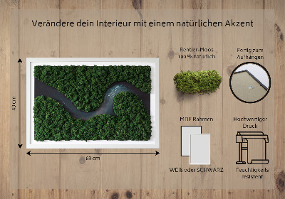 Moosbild Fluss im Wald