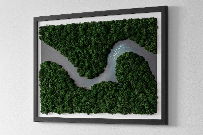 Moosbild Fluss im Wald