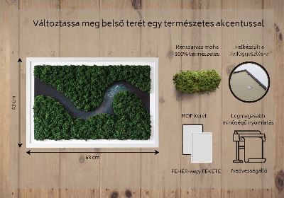 Moosbild Fluss im Wald