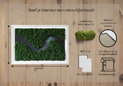 Moosbild Fluss im Wald