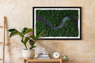 Moosbild Fluss im Wald