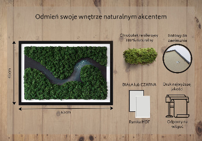 Moosbild Fluss im Wald