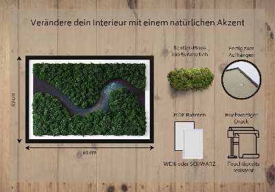 Moosbild Fluss im Wald
