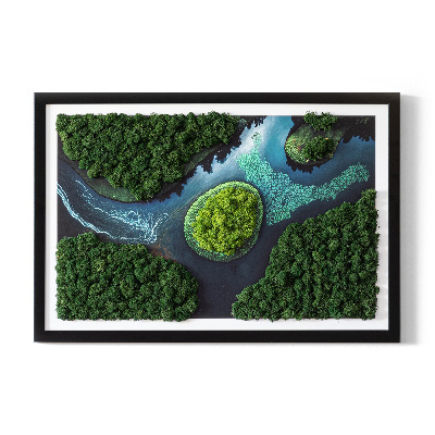 Moos bild Insel auf den Backwaters