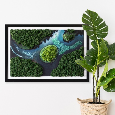 Moos bild Insel auf den Backwaters