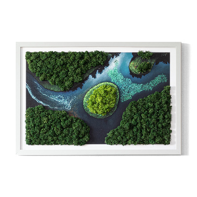 Moos bild Insel auf den Backwaters