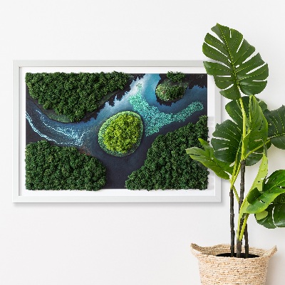 Moos bild Insel auf den Backwaters