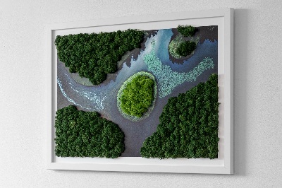Moos bild Insel auf den Backwaters