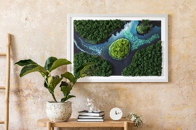 Moos bild Insel auf den Backwaters