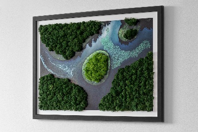 Moos bild Insel auf den Backwaters